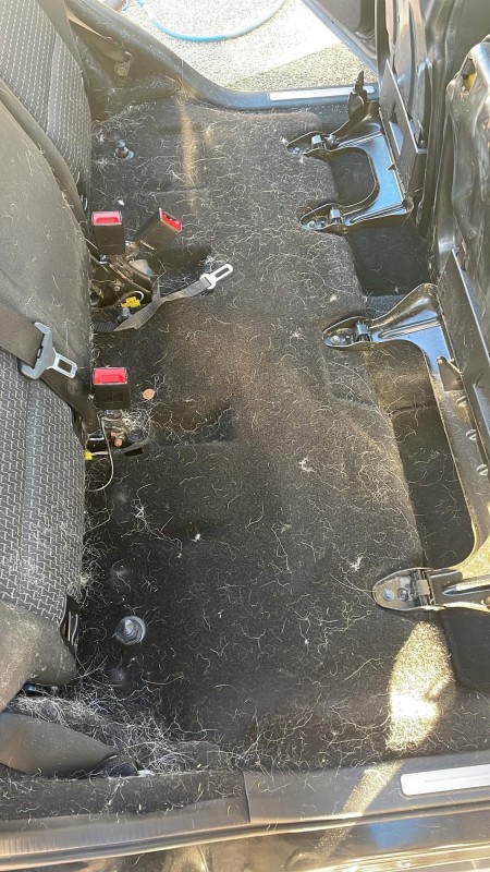 Nettoyage intérieur Mercedes Classe B – Shampoing complet et retrait intensif de poils d’animaux